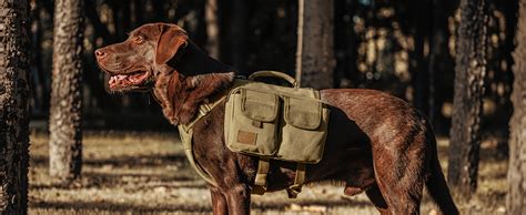 Suchergebnis Auf Amazon.de Für: Rucksack Hundegeschirr